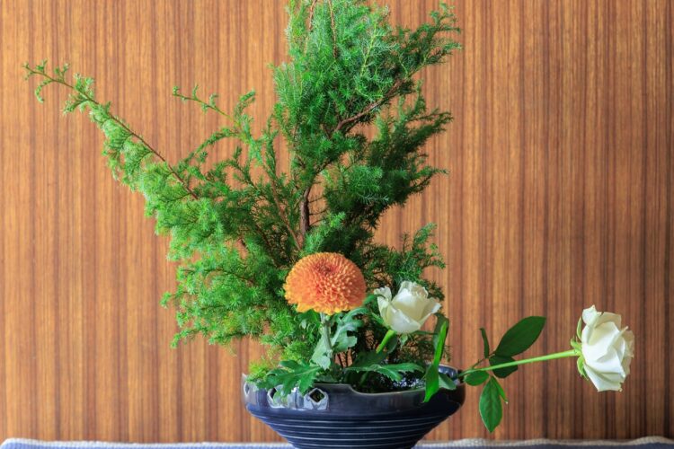 The Art of IKEBANA